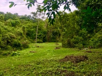 Chácara, 1 quarto, 5 hectares - Foto 1