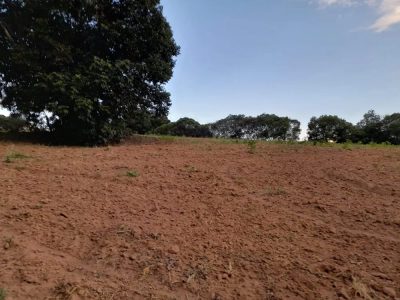 Terreno, 7 hectares - Foto 2
