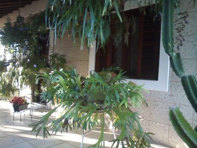 Terreno, 1700 m² - Foto 2