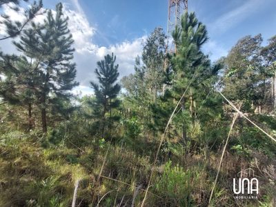 Terreno, 2516 m² - Foto 4