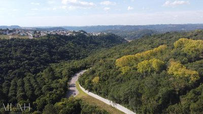 Terreno, 1599 m² - Foto 5