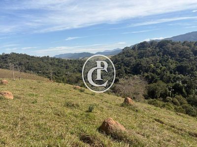 Terreno, 12 hectares - Foto 4