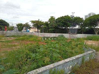 Terreno, 1596 m² - Foto 1
