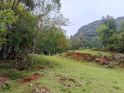 Terreno, 3 hectares - Foto 1