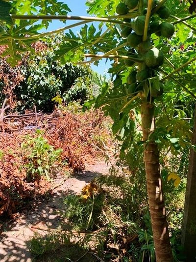 Terreno, 330 m² - Foto 1