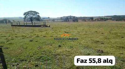 Fazenda, 135 hectares - Foto 4
