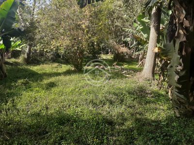 Terreno, 1000 m² - Foto 1