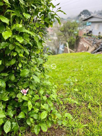 Terreno, 300 m² - Foto 1