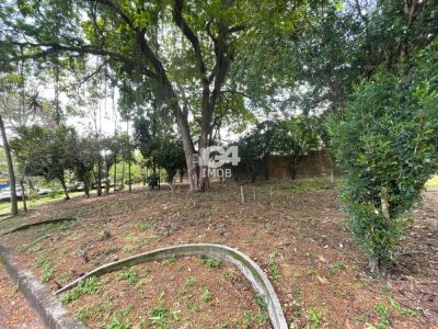 Terreno, 5000 m² - Foto 3