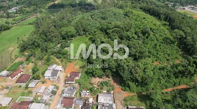 Chácara, 4 quartos, 7 hectares - Foto 3