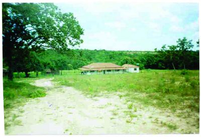 Fazenda, 3242 hectares - Foto 2