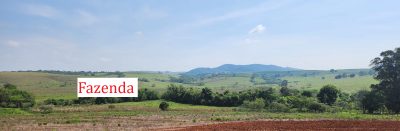 Fazenda, 145 hectares - Foto 2
