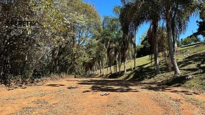 Terreno - Foto 5