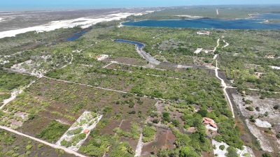 Terreno, 5 hectares - Foto 3