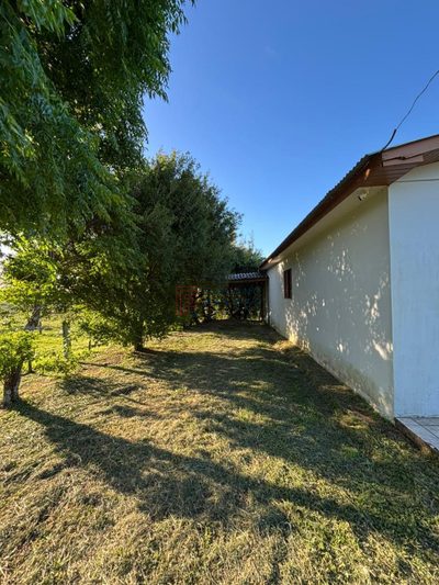 Chácara, 3 quartos, 2 hectares - Foto 5