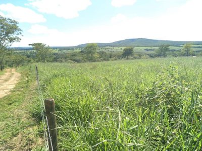 Chácara, 1 quarto, 30 hectares - Foto 4