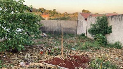 Terreno, 250 m² - Foto 5