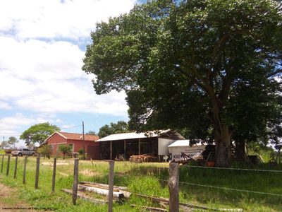 Sítio, 2 quartos, 12 hectares - Foto 3