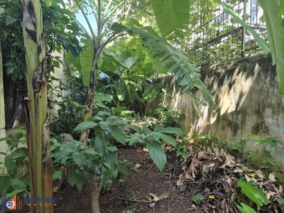 Terreno, 303 m² - Foto 3