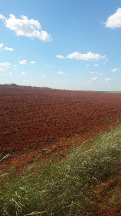 Fazenda, 34 hectares - Foto 2