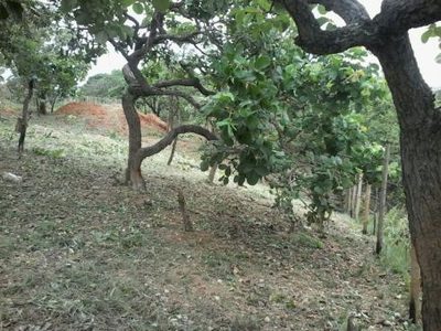 Terreno, 1150 m² - Foto 5