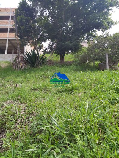 Terreno, 316 m² - Foto 5