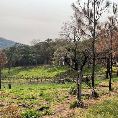 Chácara, 3 quartos, 5 hectares - Foto 4