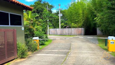 Terreno, 18 hectares - Foto 4