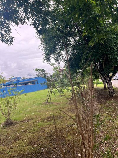 Terreno, 571 m² - Foto 3