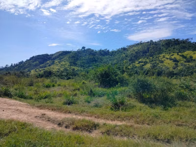 Fazenda, 45 m² - Foto 3