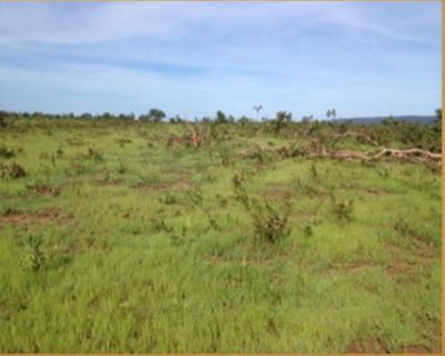 Fazenda, 5593 m² - Foto 4