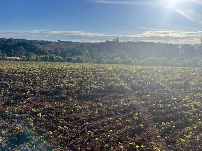Terreno, 5000 m² - Foto 1