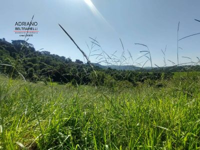 Terreno, 2 hectares - Foto 3