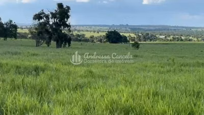 Fazenda, 826 hectares - Foto 2