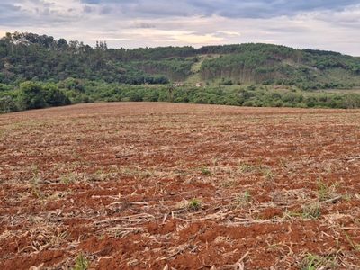 Sítio, 1 quarto, 25 hectares - Foto 2