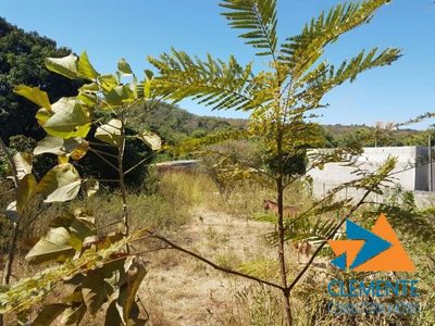 Terreno, 1150 m² - Foto 1