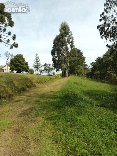 Casa, 5 quartos, 20000 m² - Foto 4