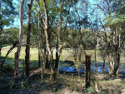Chácara, 2 hectares - Foto 2