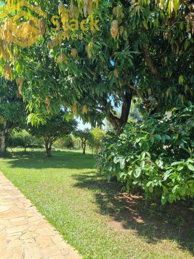 Chácara, 3 quartos, 1000 m² - Foto 3