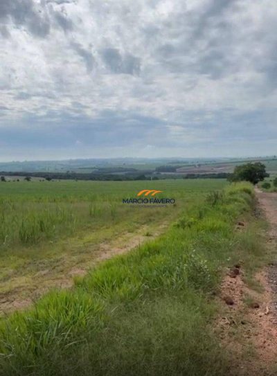 Sítio, 85 hectares - Foto 3