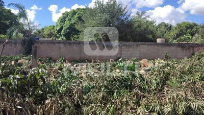 Terreno, 11 m² - Foto 4