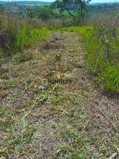 Terreno, 2011 m² - Foto 4