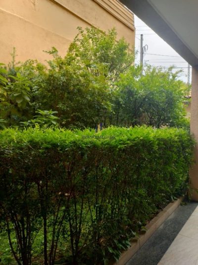 Casa, 3 quartos, 150 m² - Foto 2