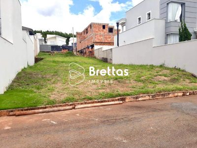 Terreno, 300 m² - Foto 4