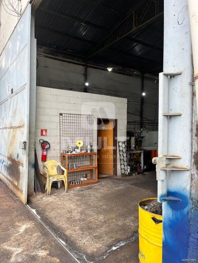 Casa, 1 quarto, 500 m² - Foto 3