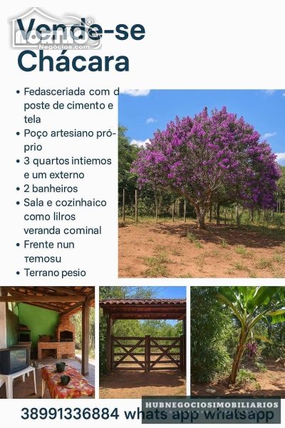 Casa, 3 quartos, 5000 m² - Foto 3