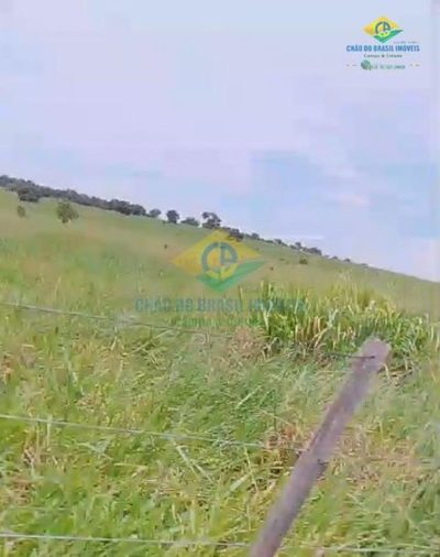 Fazenda, 2 quartos - Foto 4