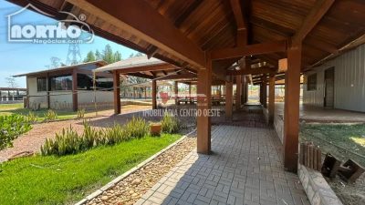 Casa, 3 quartos, 40000 m² - Foto 5