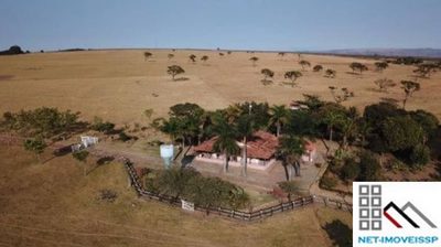 Fazenda, 517 hectares - Foto 3