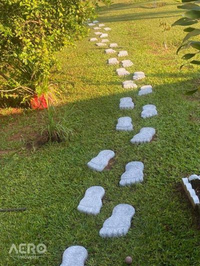 Sítio, 2 quartos, 2 hectares - Foto 1